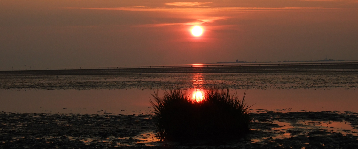 Ferienwohnung in Cuxhaven-Duhnen