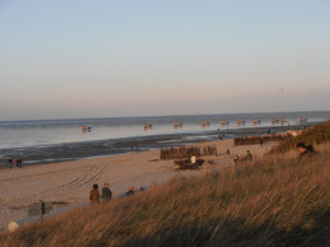 Strand mit Wattwagen